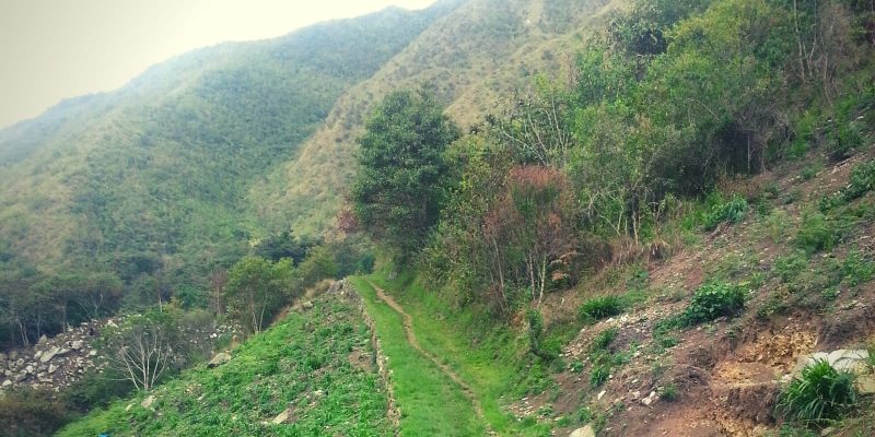 green grassy trail in the mountains