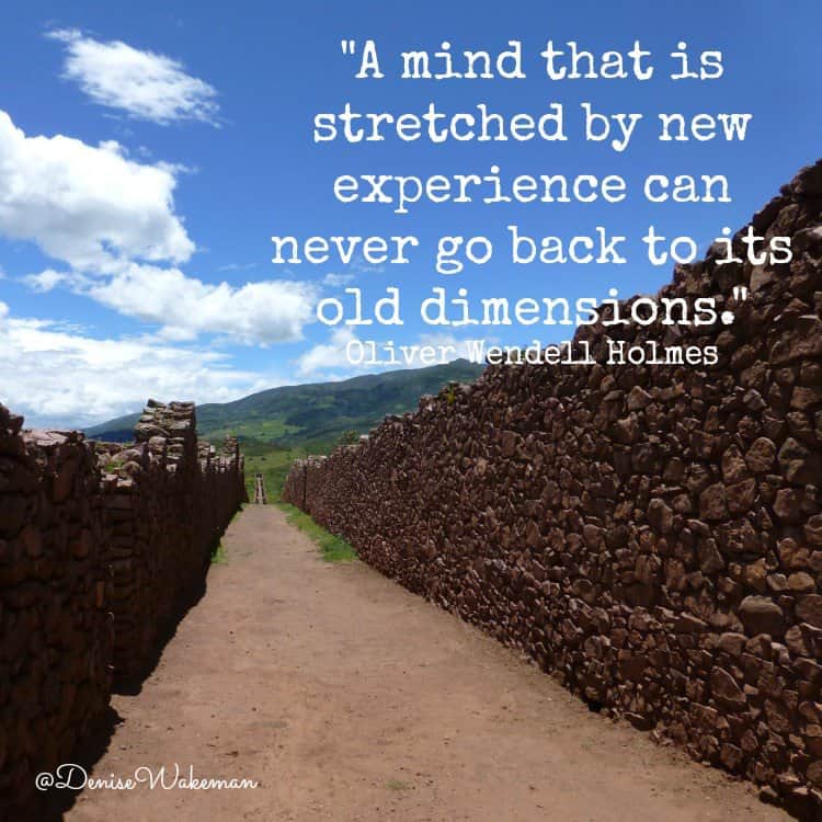 Oliver Wendell Holmes