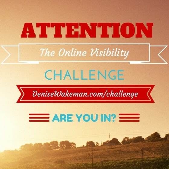 Online Visibility Challenge
