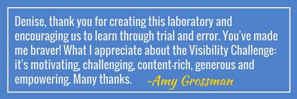 Amy Grossman testimonial for Online Visibility Challenge