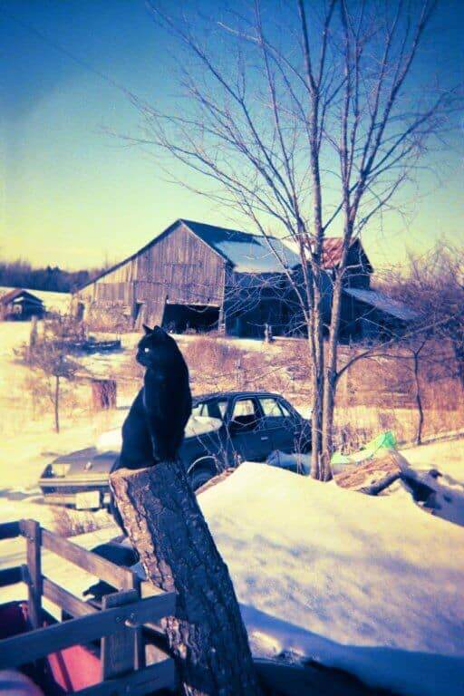 Pele and barn Marlbank, Ontario